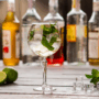Gin 101: Your Liquor Store’s Guide to Botanicals and Flavor Profiles
